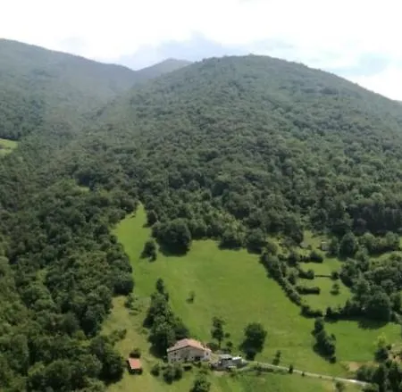 Il Santo Pellegrino *